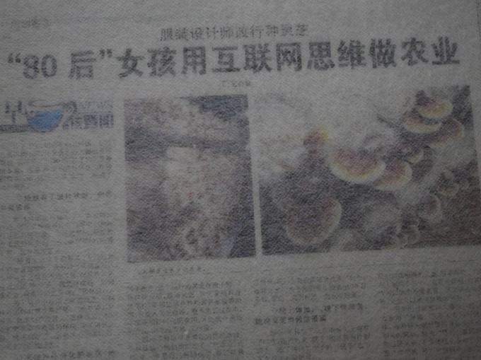 熱軋無紡布3